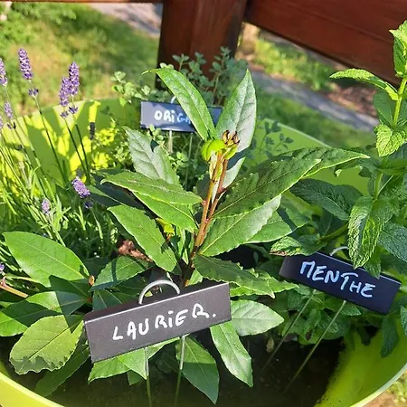 L'ard'heure D'avance 