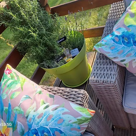 L'ard'heure D'avance 