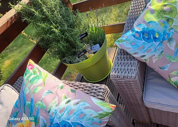 L'ard'heure D'avance 